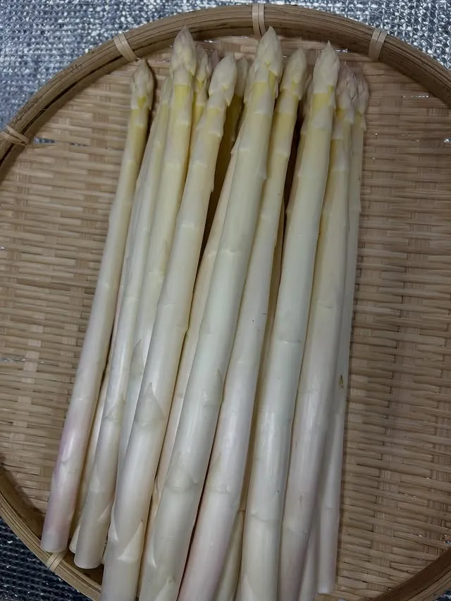 @shussefarmhamamatsu 3