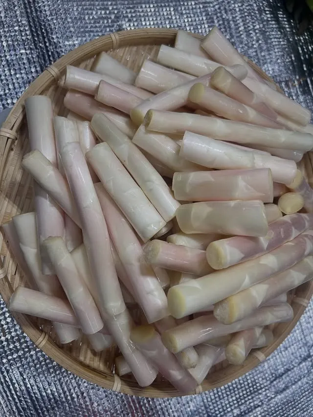 @shussefarmhamamatsu 8